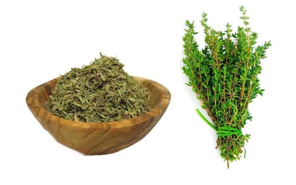 نحوه خشک کردن گیاه آویشن