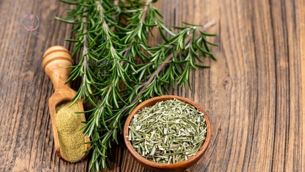 نحوه خشک کردن گیاه رزماری