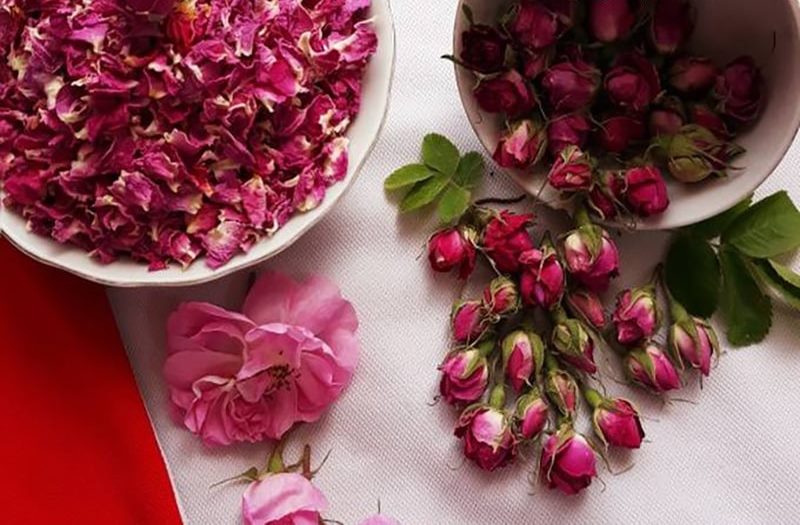 نحوه خشک کردن گیاه گل محمدی