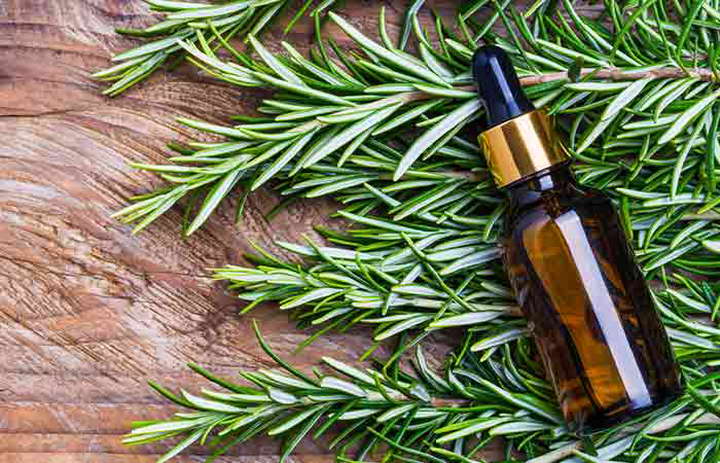 فواید و کاربرد روغن رزماری